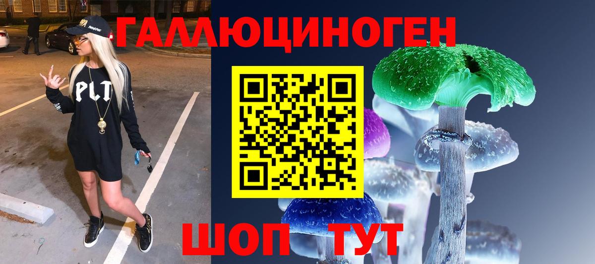 Галлюциногенные грибы Psilocybine cubensis  дарнет шоп  Псилоцибиновые грибы мухоморы  Альметьевск  Вход с VPN 